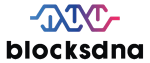 BlocksDNA-01